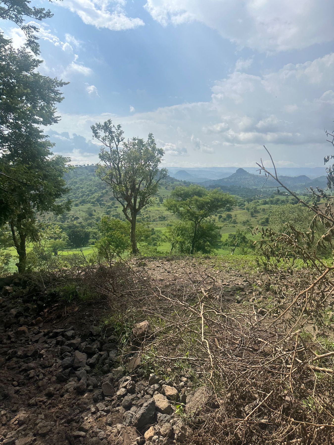Green Ethiopian landscape viewed from an exploration site