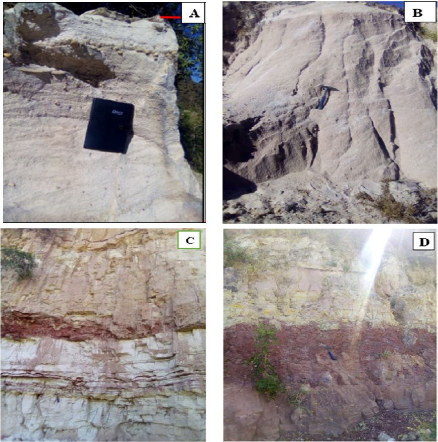 Geological field figure with four outcrop panels labelled A to D